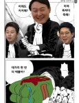 대가리 vs 대머리 | 보배드림 정치게시판