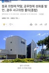 개 XX 광주 | 보배드림 정치게시판 개 XX  광주 | 보배드림 정치게시판