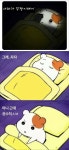잠못자는 밤 | 보배드림 정치게시판