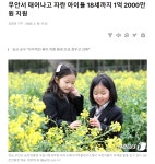 무안서 태어나고 자란 아이들 18세까지 1억 2000만원 지원 | 보배드림 정치게시판