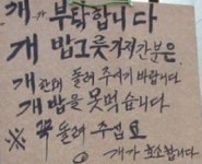 내란의 힘 | 보배드림 정치게시판