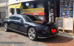 (제발도와주세요)g90제네시스때문에 설날장사 망쳤습니다. | 보배드림 자동차사진/동영상