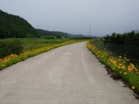 좋은 아침입니다 | 보배드림 유머게시판