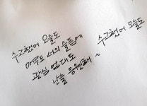 손글씨 | 보배드림 유머게시판