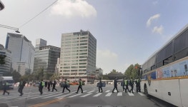 점심 시청앞 상황 | 보배드림 베스트글