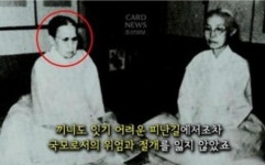 조선의 마지막 어전회의 때 벌어진일 | 보배드림 베스트글