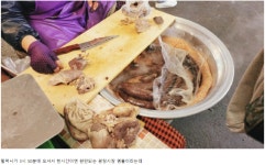광장시장 할매 순대 근황 | 보배드림 베스트글