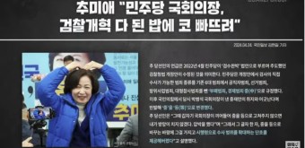 국회의장은 추미애로 가야죠~ | 보배드림 베스트글