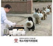 씨발 나라꼬라지 하고는 | 보배드림 베스트글