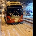 태화관광&에스케이고속관광 | 보배드림 트럭/버스/중기