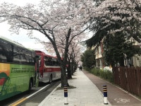 오늘 진해풍경 | 보배드림 트럭/버스/중기