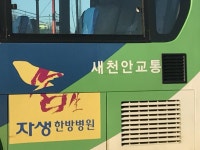 새천안교통? | 보배드림 트럭/버스/중기