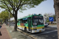 포항과 경주 가서 찍은 금아 버스들입니다. | 보배드림 트럭/버스/중기