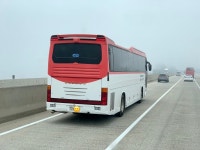 G BUS | 보배드림 트럭/버스/중기