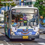 할로윈 특집 부산 시내버스.jpg | 보배드림 베스트글