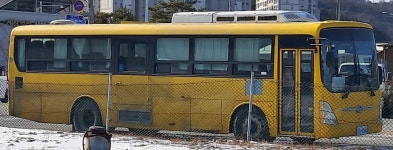 요새 여전히 잘나가는 현대통학버스들 | 보배드림 트럭/버스/중기