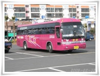 주말에는 여행을 ~~ | 보배드림 트럭/버스/중기