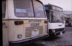 성동여객 | 보배드림 베스트글