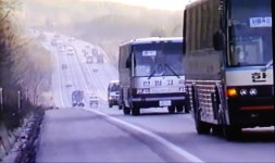 한일고속 | 보배드림 베스트글