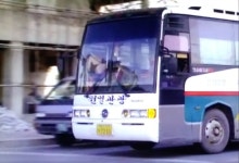 쌍용 트랜스타 | 보배드림 올드카/추억거리