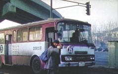 80년대 버스(서울) | 보배드림 베스트글