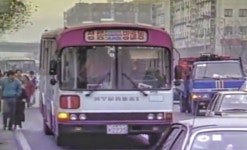 80년대 버스(서울) | 보배드림 올드카/추억거리