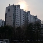 1986년에 지어진 서울시 송파구 문정동 신동아 아파트 | 보배드림 올드카/추억거리
