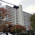 1983년에 지어진 서울시 강동구 고덕로 삼익그린2차아파트 | 보배드림 올드카/추억거리