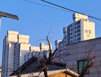 1998년에 지어진 경기도 남양주 오남읍 진건로 성호아파트 | 보배드림 올드카/추억거리