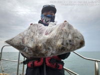 쭈.갑 먹물조황+ - 9/4 무창포 [오복호] 쭈갑 조황