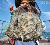 쭈.갑 먹물조황+ - 9/30 무창포 [오복호] 쭈갑 조황