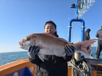 [진도해오름호] 복사초 12월16일(화) 태도 12월19일(금) 참돔 타이라바. 농어타이라바 출조