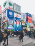 일본 오사카,교토 여행하면서 찍은 사진들 - 인스티즈(instiz) 일상포토 일본 오사카,교토 여행하면서 찍은 사진들