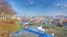 학교 앞 - 인스티즈(instiz) 일상포토학교 앞