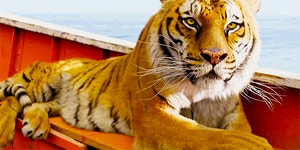 [영화] 가장 아름다운 영화로 손꼽히는,  라이프 오브 파이 (Life of pi, 2012) - 인스티즈(instiz) 인티포털 [영화] 가장 아름다운... 