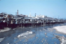 1958년 서울 청계천 수상가옥 판자집 - 인스티즈(instiz, 音思提资) 인티포털 1958년 서울 청계천 수상가옥 판자집