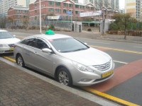 이제는 이 택시도 너무 흔합니다. | 보배드림 국산차게시판