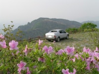 따뜻한 봄날 산꼭대기에서... | 보배드림 국산차게시판