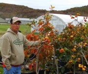 감이야기 ㄷㄷㄷ((사진)) | 보배드림 국산차게시판