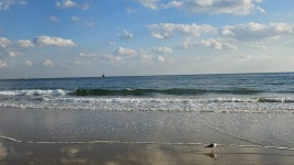 [잡담] 바다 이쁘다... - 인스티즈(instiz) 일상 카테고리