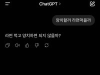 [잡담] 챗지피티 ㄹㅇ 현자네 - 인스티즈(instiz) 일상 카테고리