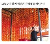 각 집안의 숨겨진 내력 - 인스티즈(instiz) 이슈 카테고리