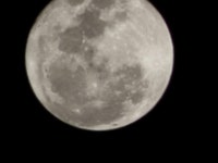 판매자 정보 | 보배드림