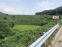 더블옥션 더블옥션 부동산경매정보