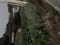 더블옥션 더블옥션 부동산경매정보