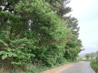 더블옥션 더블옥션 부동산경매정보