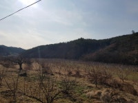 더블옥션 더블옥션 부동산경매정보