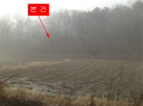 더블옥션 더블옥션 부동산경매정보