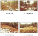 더블옥션 더블옥션 부동산경매정보