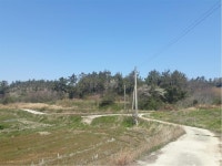 더블옥션 더블옥션 부동산경매정보